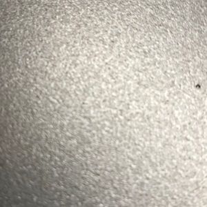 Meet your Posher, Whitney